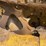 caterpillar-r4-image-30
