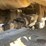 cummins-m11-image-37