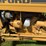 ford-231-image-14