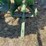john-deere-model-a-image-35