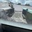 2012-auto-crane-4004eh-image-33