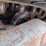 takeuchi-tl6r-image-28