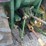 1992-john-deere-870-image-33