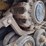 caterpillar-257b3-image-13