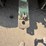 steiger-bearcat-iii-st225-image-23