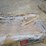 #l77-007-•-sdlanch-20'x30'-all-steel-carport-[damaged]-image-14
