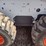 bobcat-s175-image-14