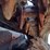 bobcat-t595-image-26
