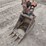 hitachi-zx50u-5n-image-24