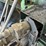 hesston-1170-image-3