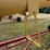 westfield-mkx10-73-image-24