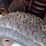 ford-f250-image-20