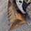 bobcat-t180-image-17