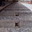yanmar-c50r-image-26