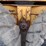 volvo-a30d-image-20