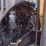 new-holland-ts6.120-image-22