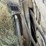 hesston-1170-image-2