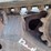 bobcat-t180-image-15