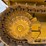 2021-caterpillar-d1-image-10