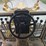 2007-caterpillar-12h-image-93