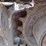 bobcat-e50-image-13