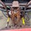 ford-f250-image-24