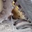 caterpillar-299d2-image-13
