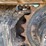sany-sy135c-image-14