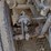 ford-f650-xlt-image-21