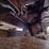 john-deere-15-image-16