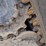 bobcat-t595-image-15