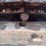 caterpillar-308e2-cr-image-34
