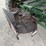 1998-john-deere-9610-image-21