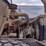 volvo-sd77dx-image-17