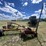 rowse-d9-image-4