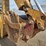 jcb-3cx14-image-33