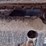 kubota-kx033-4-image-16