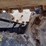 bobcat-t770-image-17