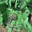 2010-john-deere-7830-image-26