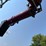 2018-case-ih-7240-image-86