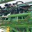 2015-raven-viper-image-29