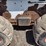 bobcat-s250-image-15