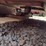bush-hog-rmb1660-image-7