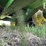 2000-john-deere-9400t-image-43