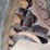 bobcat-t595-image-25