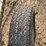 kewanee-180-image-23