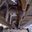caterpillar-279d-image-28
