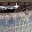 bobcat-329g-image-27