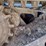 bobcat-t650-image-29