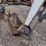 bobcat-e20-image-30